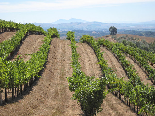 Rolling Hills