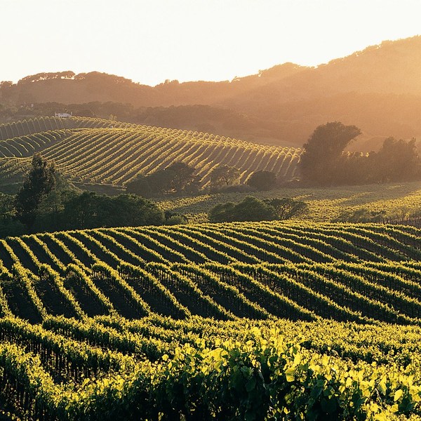 Sun Setting Over Rolling Hills